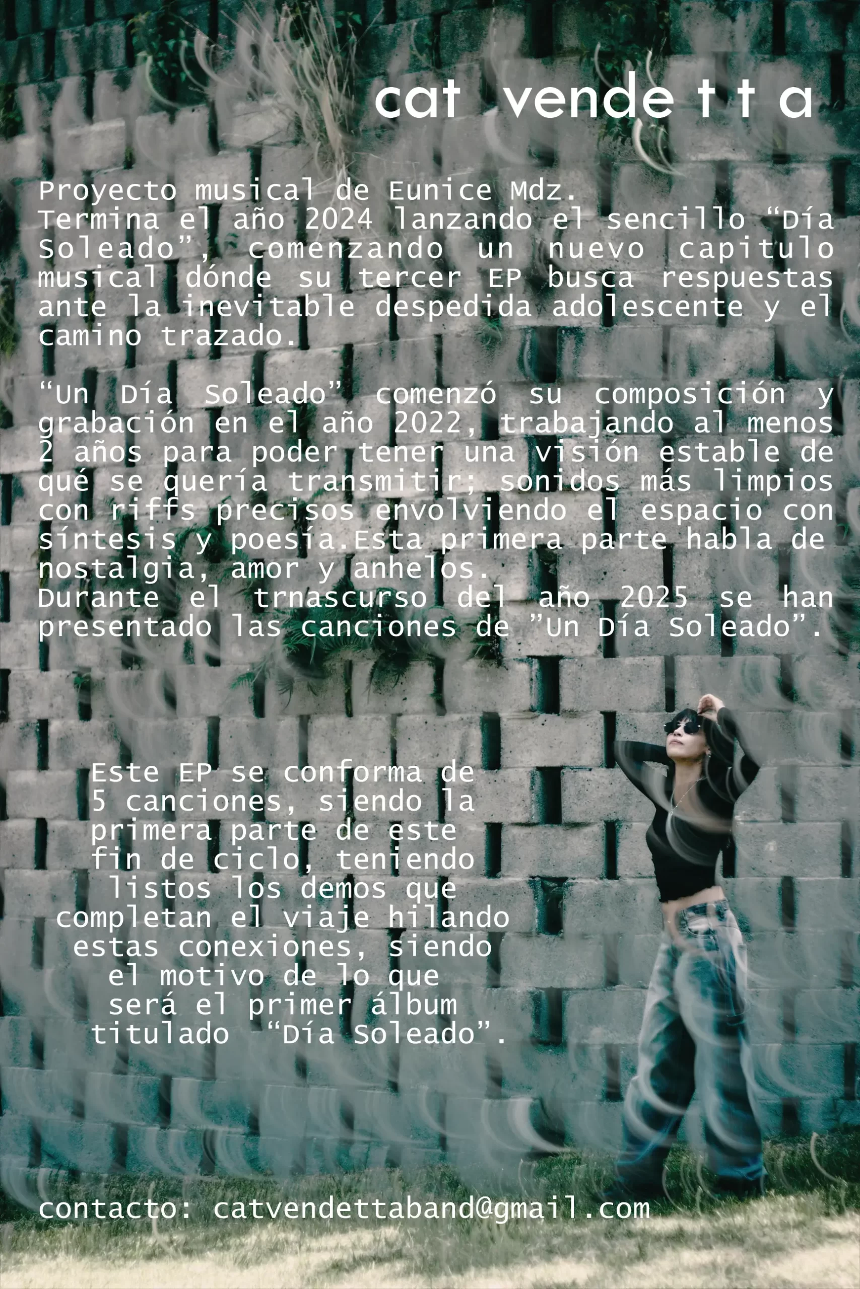 blue-pop-cat-vendetta-presskit-3